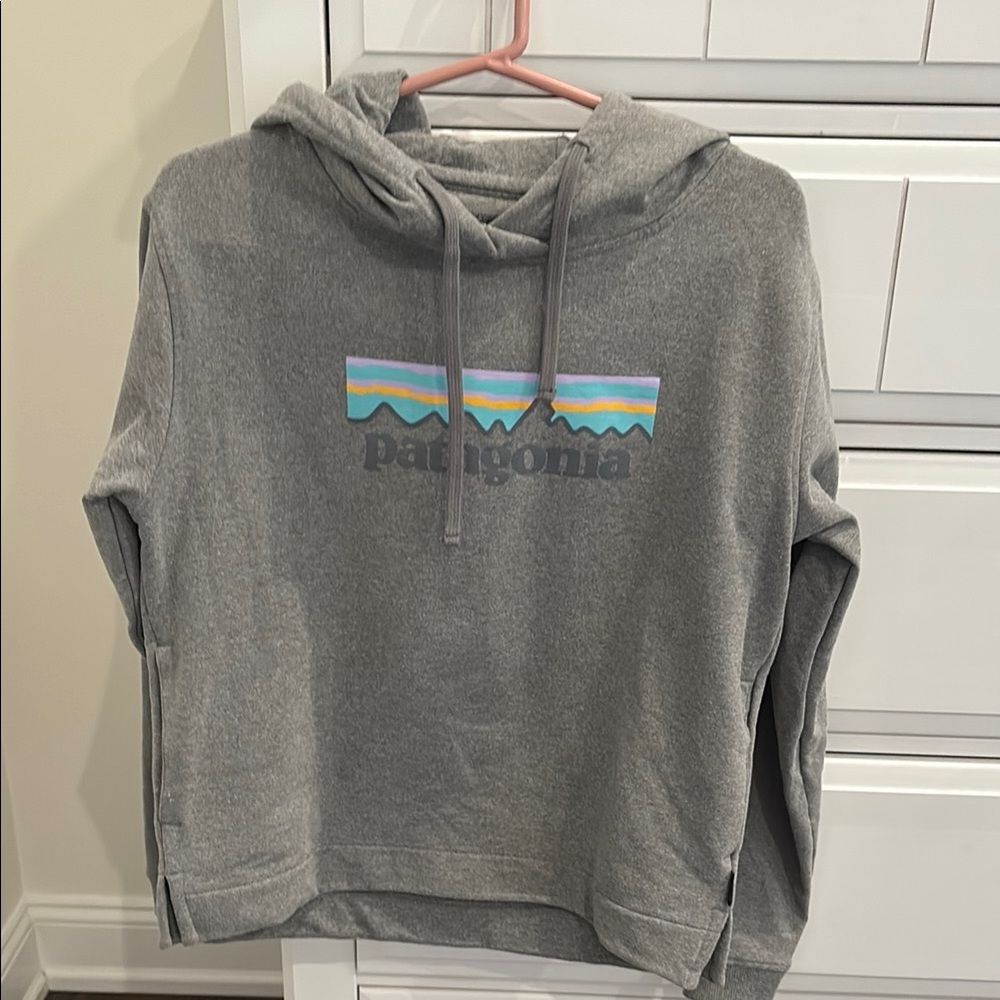 Patagonia Gray Hoodie with Colorful Logo